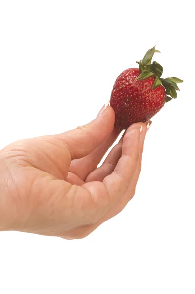 La fresa en las manos —  Fotos de Stock