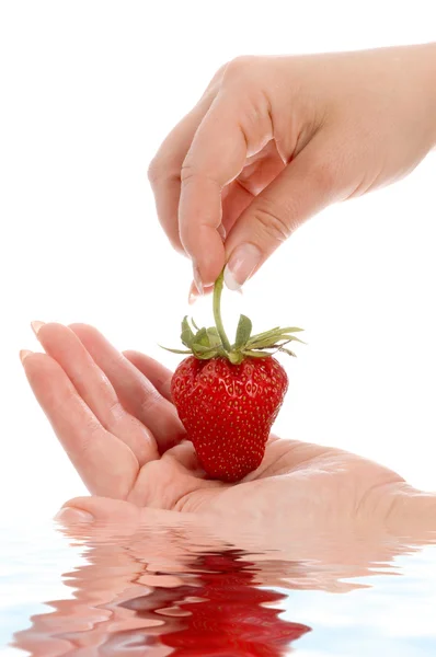 Φράουλα στα χέρια — Φωτογραφία Αρχείου