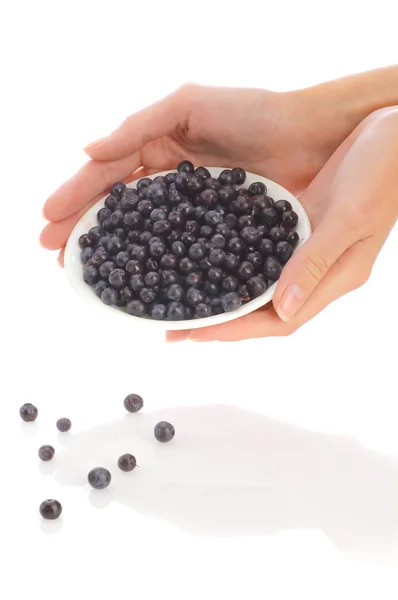 Bilberry on plate — Stock Photo, Image