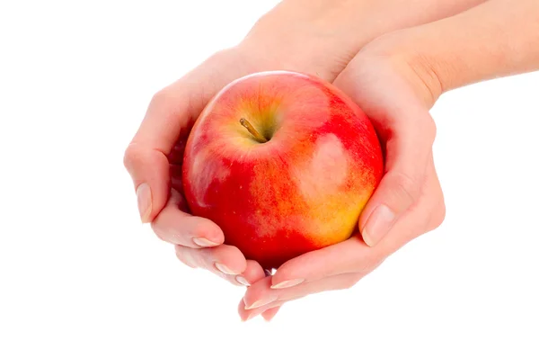 Manzana en manos — Foto de Stock