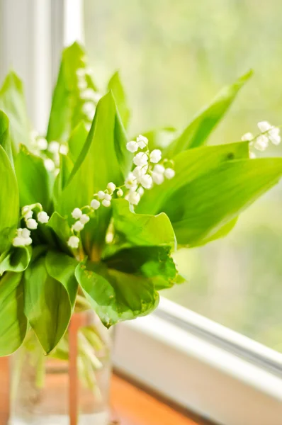 Lilly of the valley — Stock Photo, Image