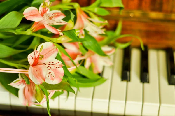 stock image Bouquet of alstroemeria