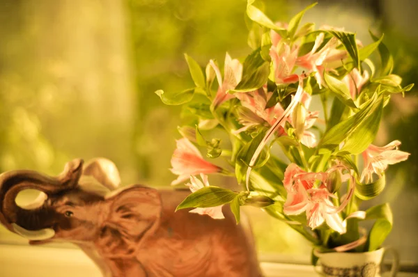 アルストロメリアの花束 — ストック写真