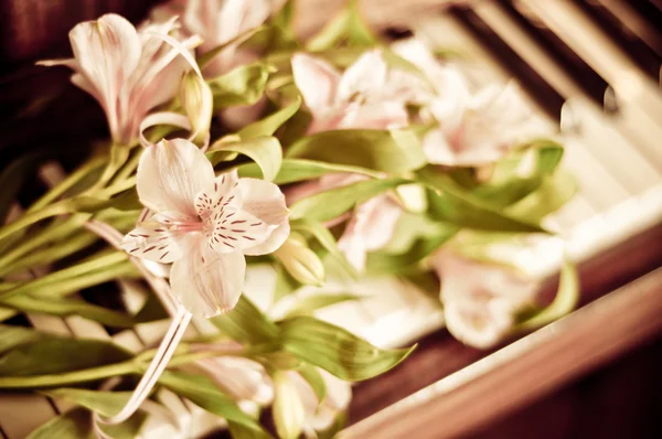 Bouquet d'alstroemeria — Photo