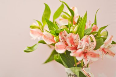 Bouquet of alstroemeria clipart