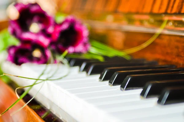 stock image Beautiful tulips on the piano keyboard