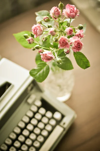 Розы и старый писатель — стоковое фото