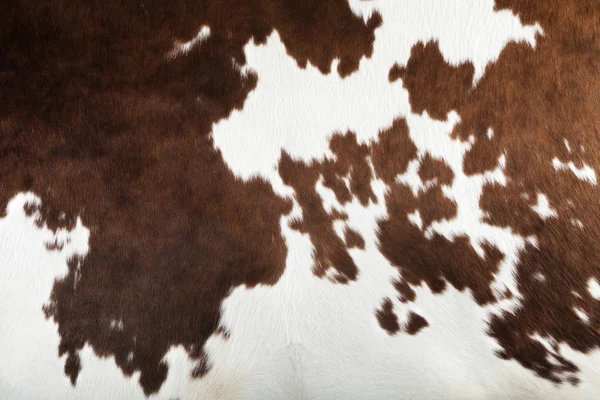 Textura de piel de vaca real — Foto de Stock