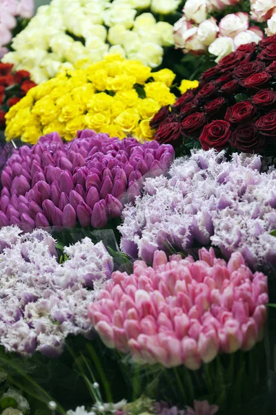 Blommor marknaden — Stockfoto