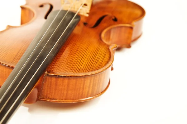 Close-up of the violin over white — Stock Photo, Image