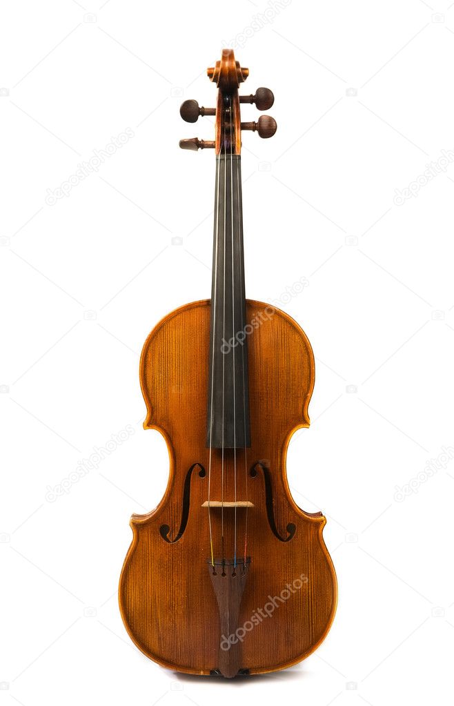 Old violin over white