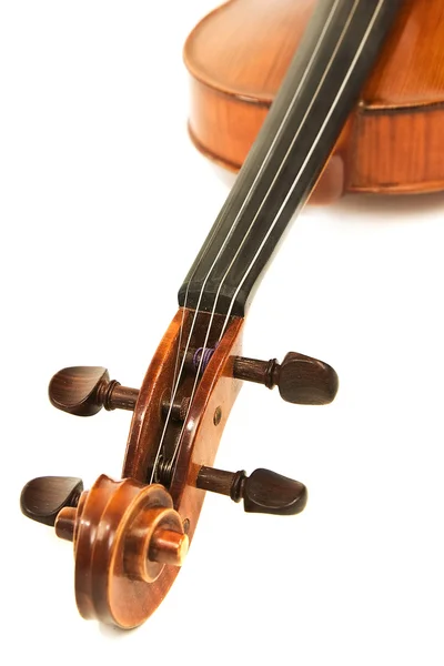 Крупним планом скрипки над білим — стокове фото