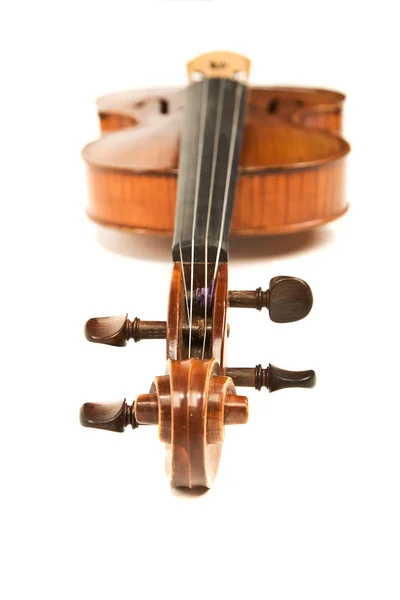 Крупный план скрипки над белым — стоковое фото