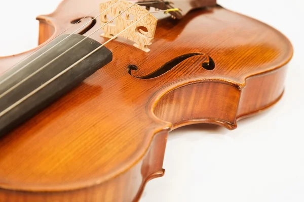 白でヴァイオリンのクローズ アップ — ストック写真