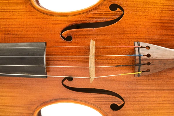 Nahaufnahme der Geige über Weiß — Stockfoto