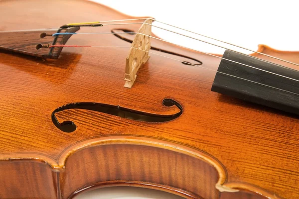 흰색 위에 바이올린의 클로즈업 — 스톡 사진
