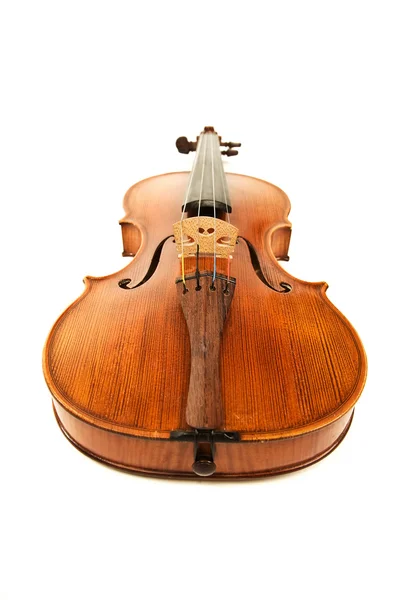Старая скрипка над белым — стоковое фото