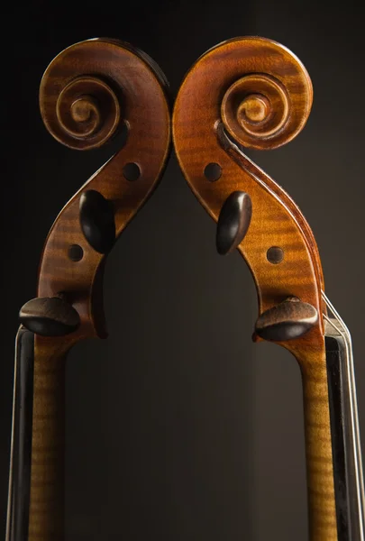 Скрипка и отражение — стоковое фото