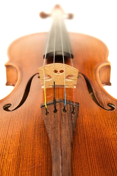 흰색 위에 바이올린의 클로즈업 — 스톡 사진