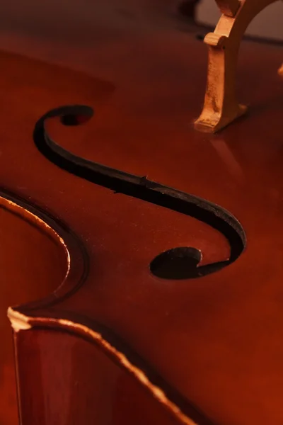 Vieux violoncelle — Photo