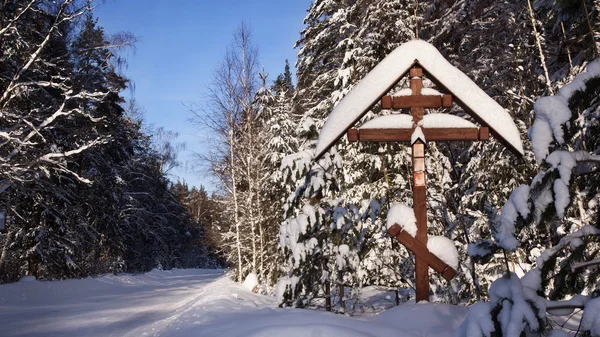 A Karelia téli táj — Stock Fotó