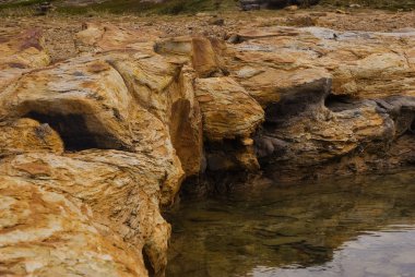 sarı taşlar arctic deniz kenarı