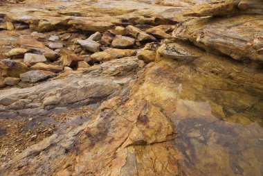 sarı taşlar arctic deniz kenarı