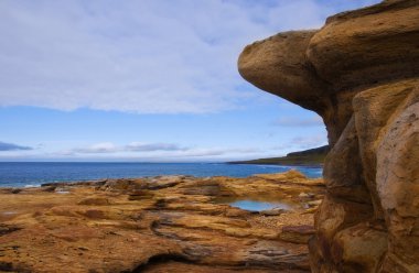 sarı taşlar arctic deniz kenarı