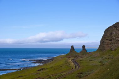 Panorama of the Arctic Coast clipart