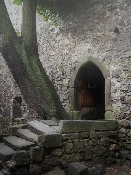 Παλιό μεσαιωνικό κάστρο σε μια ομίχλη — Φωτογραφία Αρχείου