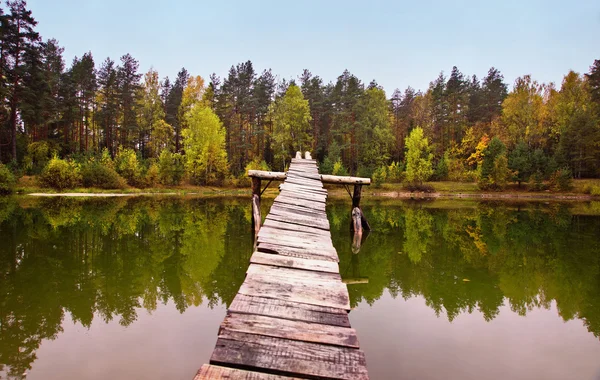 Paisagem de outono no lago de madeira — Fotografia de Stock