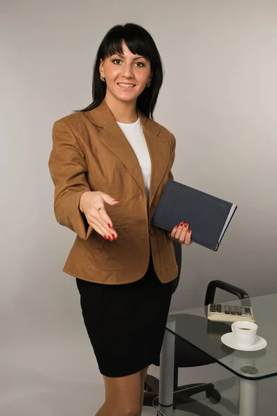 Mulher de negócios bem sucedida em um escritório — Fotografia de Stock