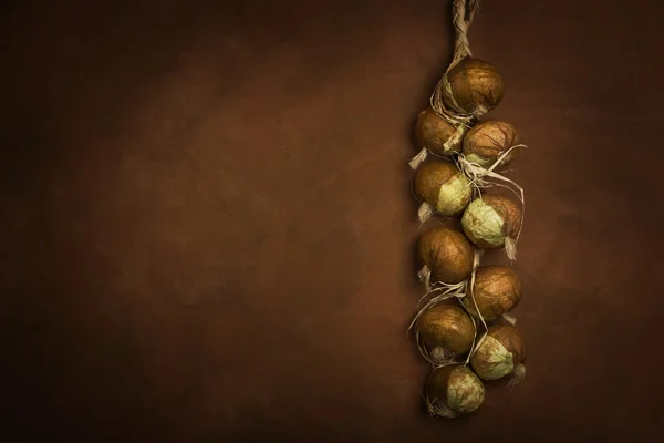 玉ねぎの束 — ストック写真