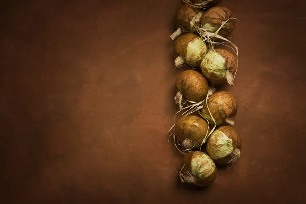 玉ねぎの束 — ストック写真