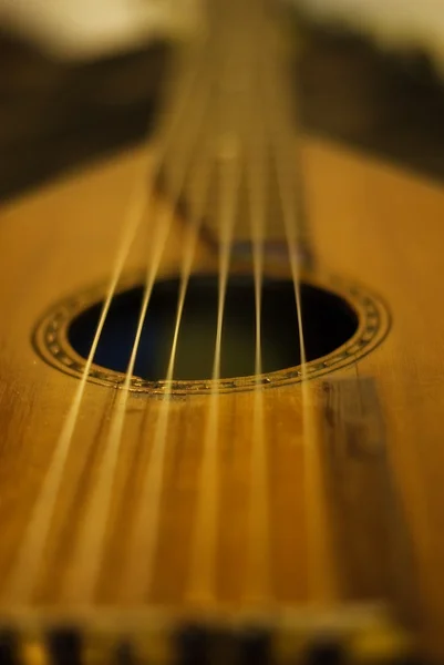 르네상스 minstrels 류 — 스톡 사진