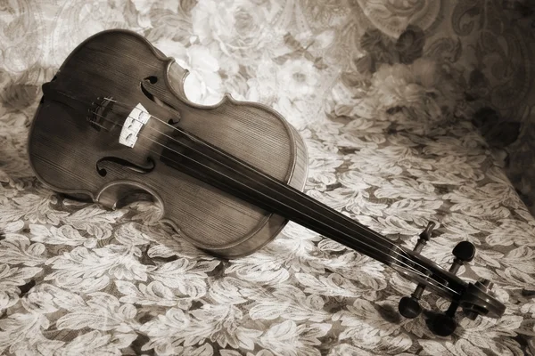 旧的意大利小提琴 — 图库照片