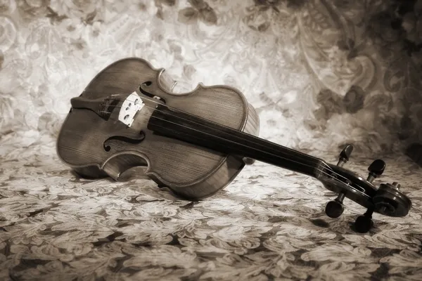 Velho violino italiano — Fotografia de Stock