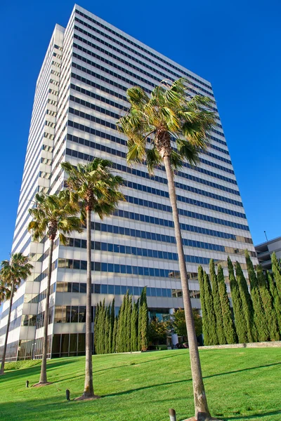 stock image Modern office building with palms