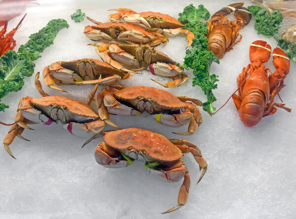 Snow crabs and lobsters on ice