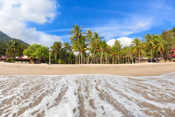 Lege tropisch strand met kokospalmen — Stockfoto