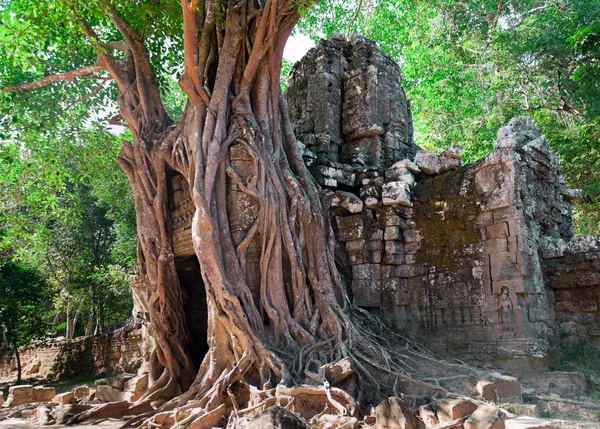 Ősi templom a Preah kán — Stock Fotó