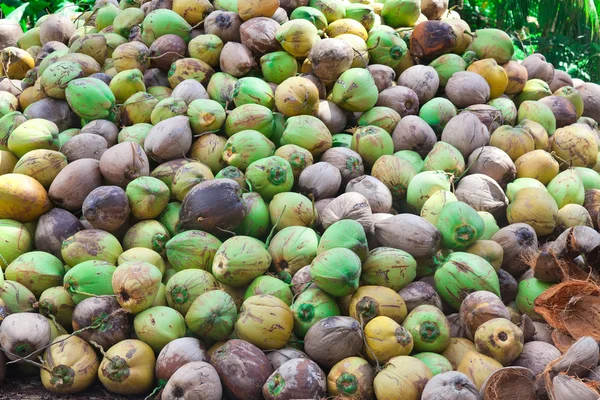 Kupie zielone kokosy na ziemi — Zdjęcie stockowe