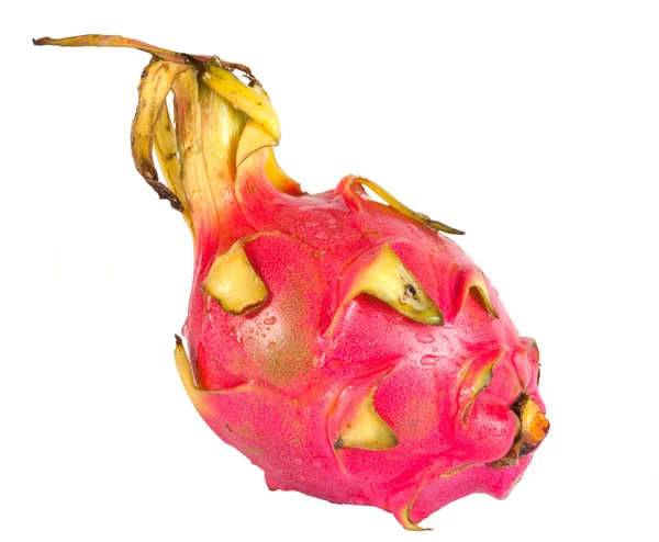 Pitaya, dračí ovoce izolovaných na bílém pozadí — Stock fotografie