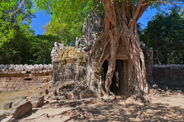 Alter Tempel preah khan in angkor komplex — Stockfoto