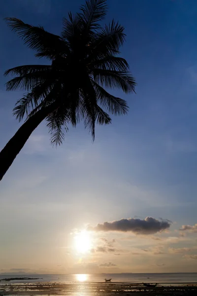 Ηλιοβασίλεμα με παλάμη δέντρο σιλουέτα — Φωτογραφία Αρχείου
