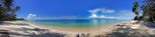 Panorama över den tropiska stranden Stockbild