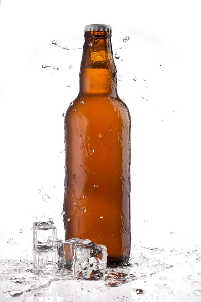 Studené pivo — Stock fotografie