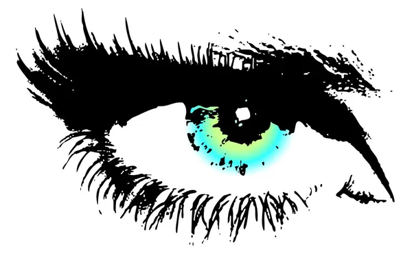Жінка очей — стоковий вектор