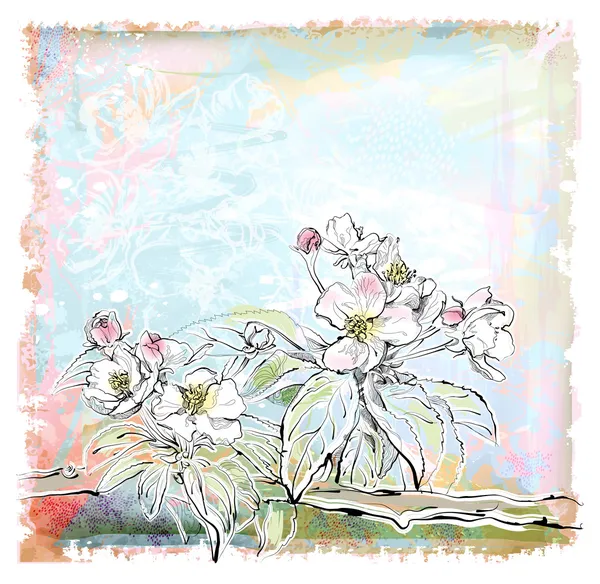 Bosquejo de manzano en flor — Vector de stock