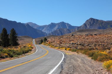 Amerikan yol çöl yoluyla